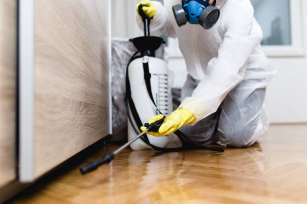 Best Affordable Pest Control Services  in Kings Mountain, NC