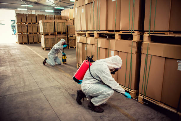 Best Cockroach Control Services  in Kings Mountain, NC