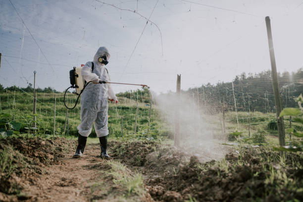 Best Best Pest Control Companies  in Kings Mountain, NC