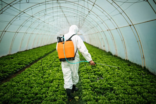 Best Local Pest Control Services  in Kings Mountain, NC