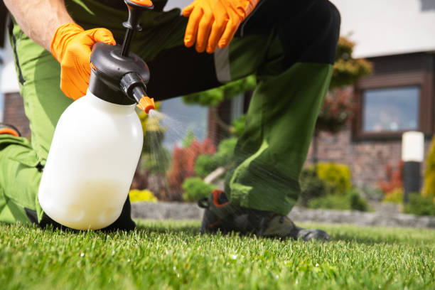 Pest Control for Restaurants in Kings Mountain, NC