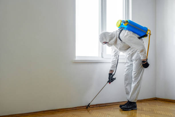 Trusted Kings Mountain, NC Pest Control Experts