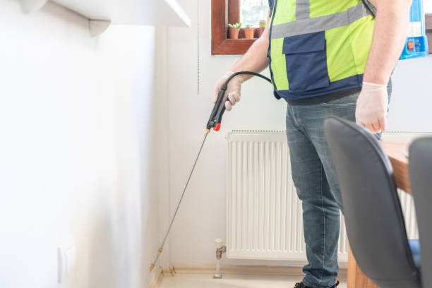 Best Pest Removal Services  in Kings Mountain, NC