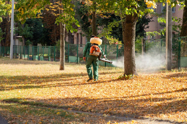 Best Best Pest Control Companies  in Kings Mountain, NC