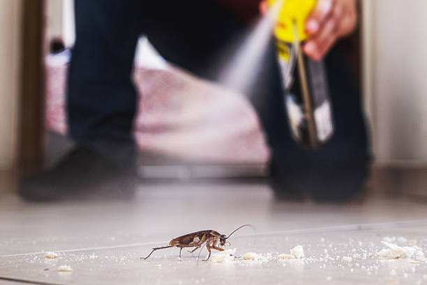 Wildlife Control Services in Kings Mountain, NC