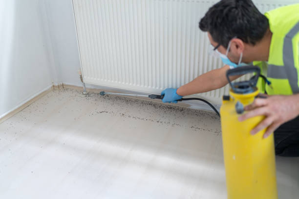 Best Pest Control Cost  in Kings Mountain, NC